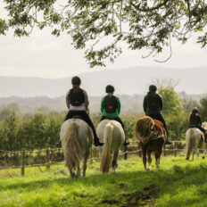 Cross Country in Tipperary, Ireland - Globetrotting horse riding holidays
