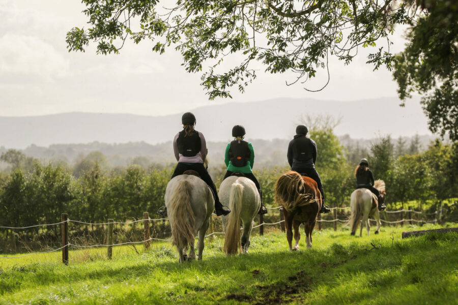Cross Country in Tipperary, Ireland - Globetrotting horse riding holidays
