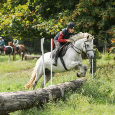 Cross Country in Tipperary, Ireland - Globetrotting horse riding holidays