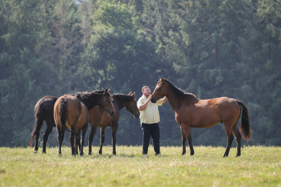 Cross Country in Tipperary, Ireland - Globetrotting horse riding holidays