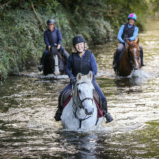Cross Country in Tipperary, Ireland - Globetrotting horse riding holidays