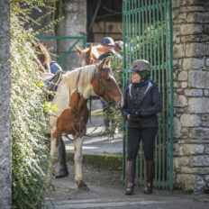 Cross Country in Tipperary, Ireland - Globetrotting horse riding holidays