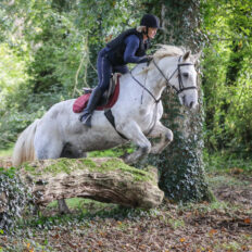 Cross Country in Tipperary, Ireland - Globetrotting horse riding holidays