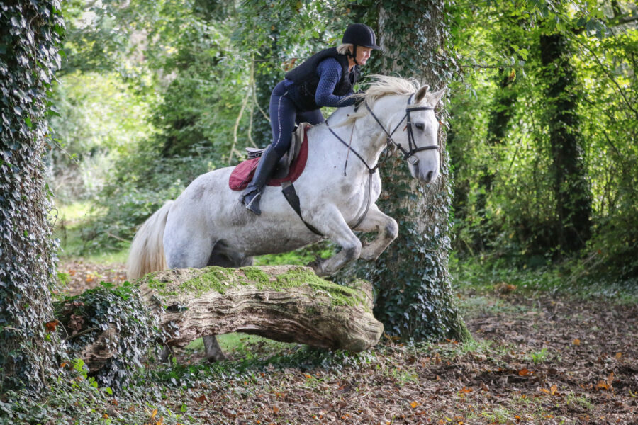 Cross Country in Tipperary, Ireland - Globetrotting horse riding holidays