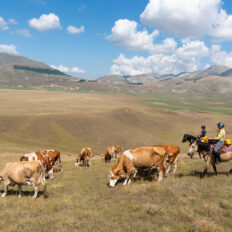 The Sibillini Mountains Ride, Umbria, Italy - Globetrotting horse riding holidays