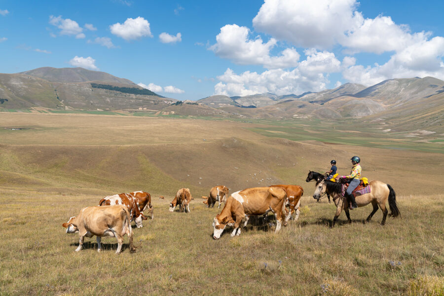 The Sibillini Mountains Ride, Umbria, Italy - Globetrotting horse riding holidays