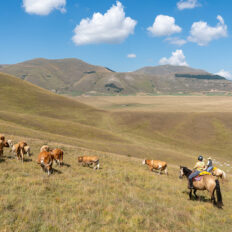 The Sibillini Mountains Ride, Umbria, Italy - Globetrotting horse riding holidays