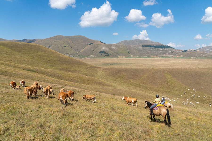 The Sibillini Mountains Ride, Umbria, Italy - Globetrotting horse riding holidays