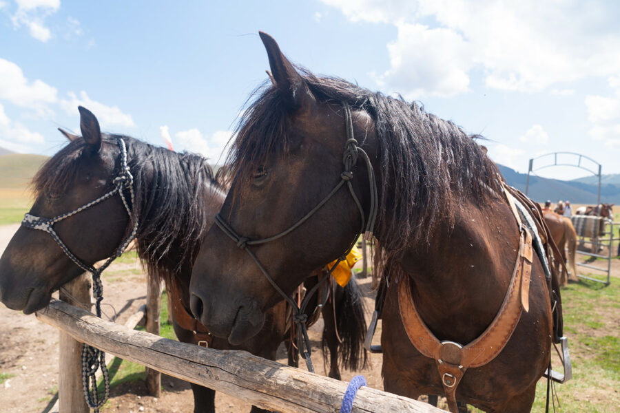 The Sibillini Mountains Ride, Umbria, Italy - Globetrotting horse riding holidays
