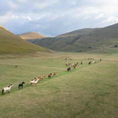 The Sibillini Mountains Ride, Umbria, Italy - Globetrotting horse riding holidays