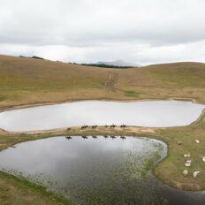 The Sibillini Mountains Ride, Umbria, Italy - Globetrotting horse riding holidays