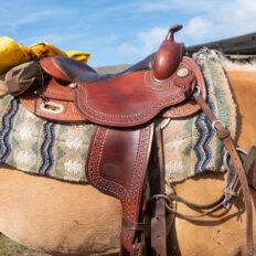 The Sibillini Mountains Ride, Umbria, Italy - Globetrotting horse riding holidays