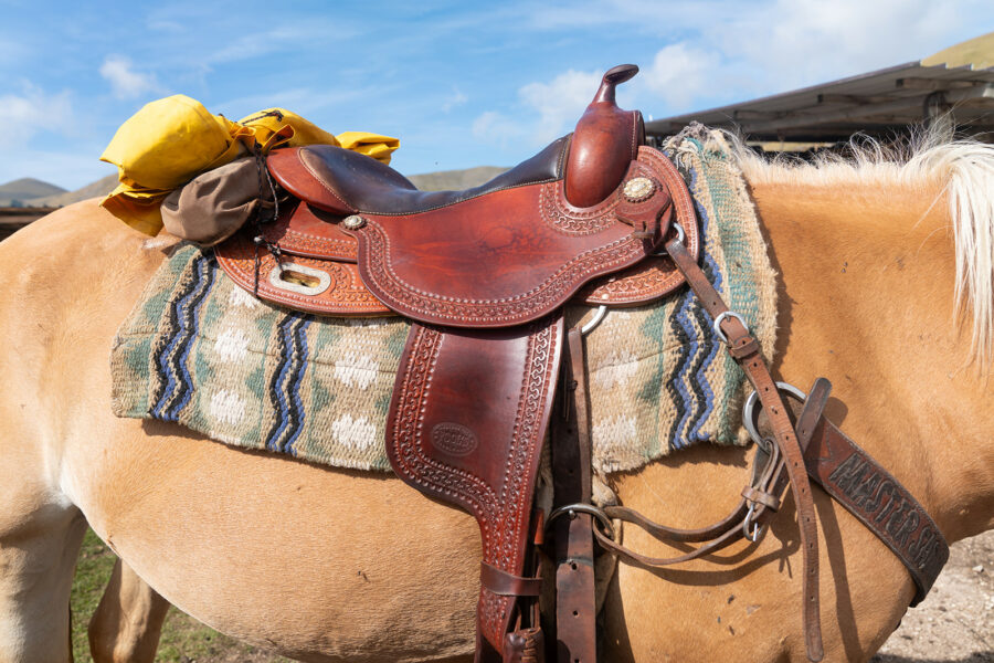 The Sibillini Mountains Ride, Umbria, Italy - Globetrotting horse riding holidays
