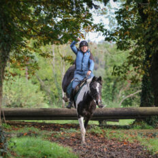 Cross Country in Tipperary, Ireland - Globetrotting horse riding holidays