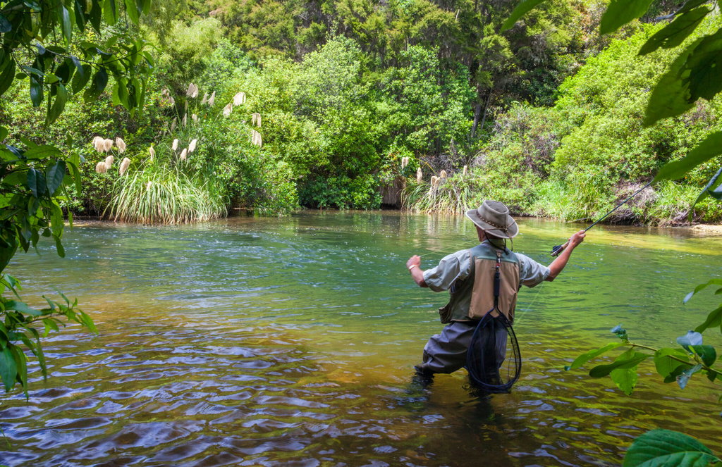 A Day Spent in Taupo, New Zealand - fishing - Globetrotting horse riding holidays. Image by Danita Delimont via Shutterstock.