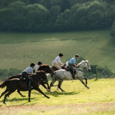 The English Rose Ride, Dorset, England - Globetrotting horse riding holidays