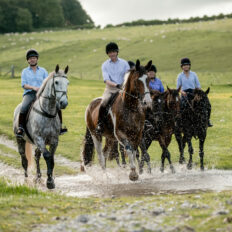 The English Rose Ride, Dorset, England - Globetrotting horse riding holidays