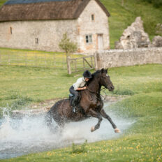 The English Rose Ride, Dorset, England - Globetrotting horse riding holidays