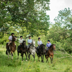 The English Rose Ride, Dorset, England - Globetrotting horse riding holidays
