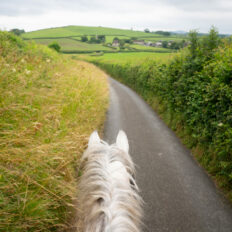 The English Rose Ride, Dorset, England - Globetrotting horse riding holidays