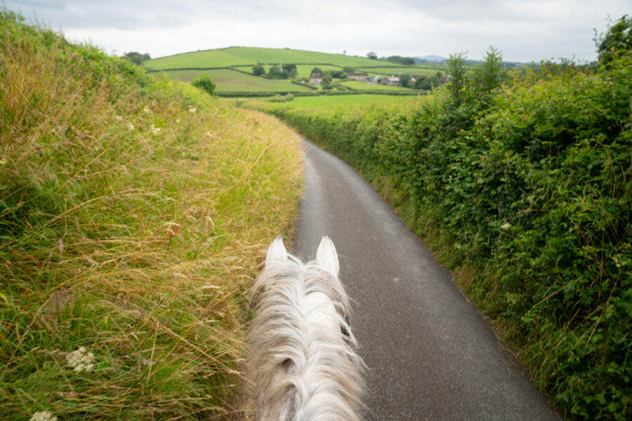 The English Rose Ride, Dorset, England - Globetrotting horse riding holidays