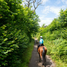 The English Rose Ride, Dorset, England - Globetrotting horse riding holidays