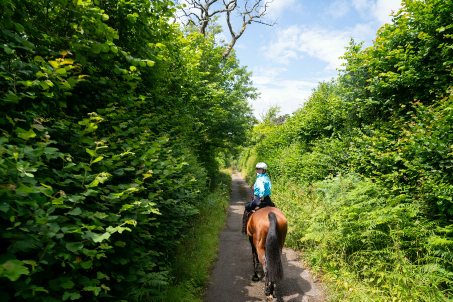 The English Rose Ride, Dorset, England - Globetrotting horse riding holidays