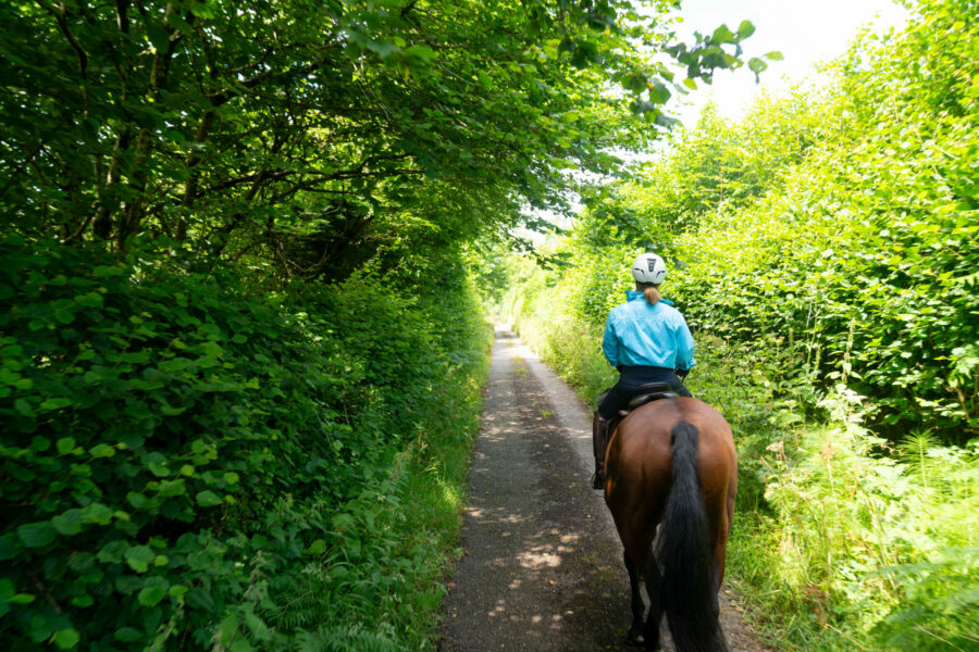 The English Rose Ride, Dorset, England - Globetrotting horse riding holidays