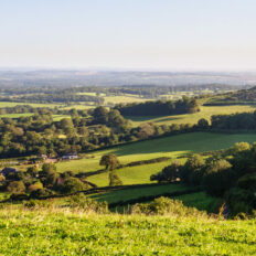 The English Rose Ride, Dorset, England - Globetrotting horse riding holidays