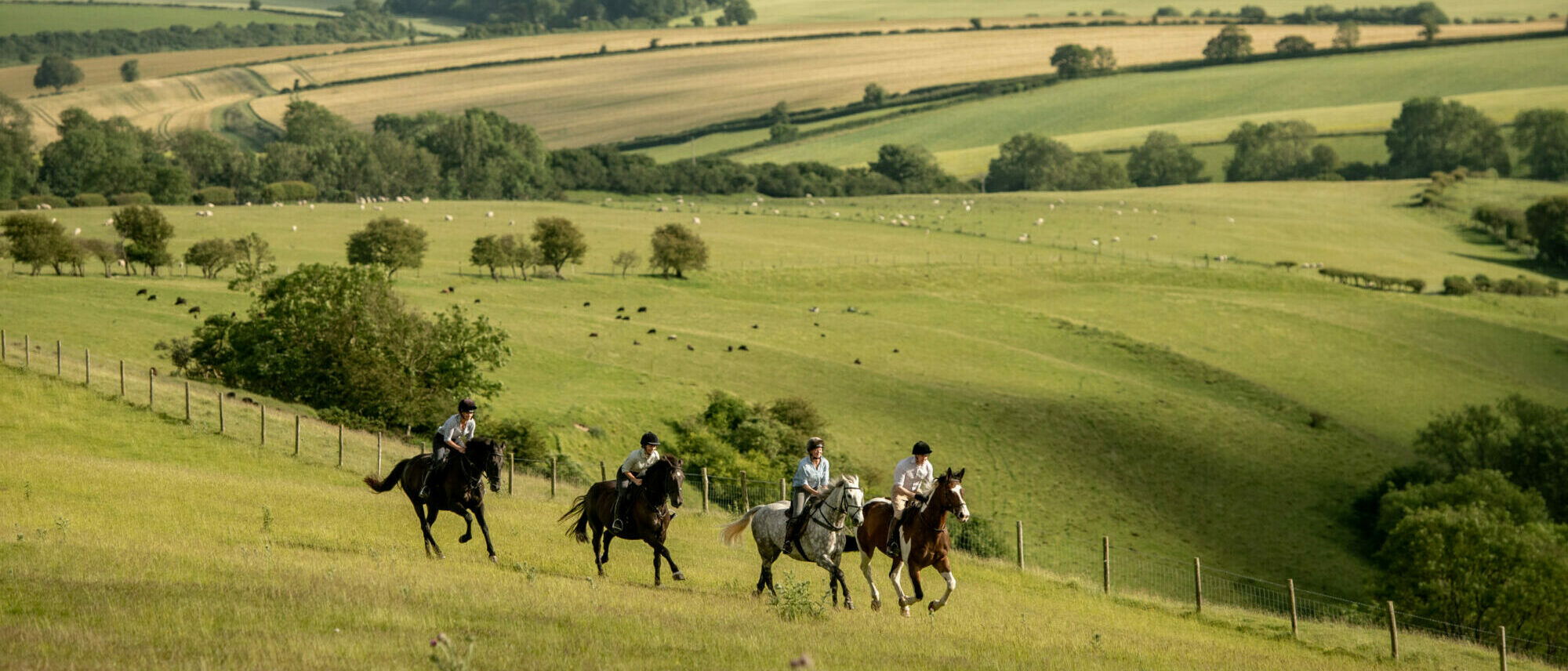 The English Rose Ride, Dorset, England - Globetrotting horse riding holidays