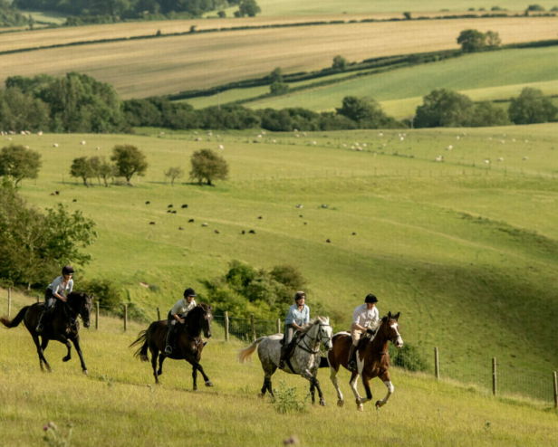 The English Rose Ride, Dorset, England - Globetrotting horse riding holidays