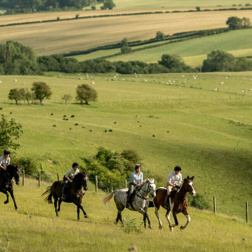 The English Rose Ride, Dorset, England - Globetrotting horse riding holidays