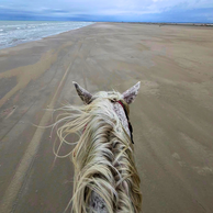 The Camargue Ride, France, Globetrotting Horse Riding Holidays