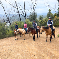 The Shoalhaven Ride, Australia, Globetrotting Horse Riding Holidays