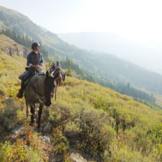 The Grand Tetons Ride, Wyoming, USA - Globetrotting horse riding holidays