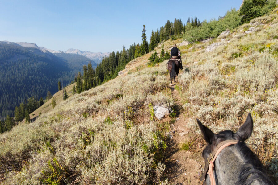 The Grand Tetons Ride, Wyoming, USA - Globetrotting horse riding holidays