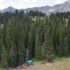 The Grand Tetons Ride, Wyoming, USA - Globetrotting horse riding holidays