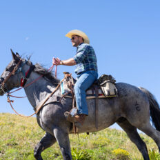 The Grand Tetons Ride, Wyoming, USA - Globetrotting horse riding holidays