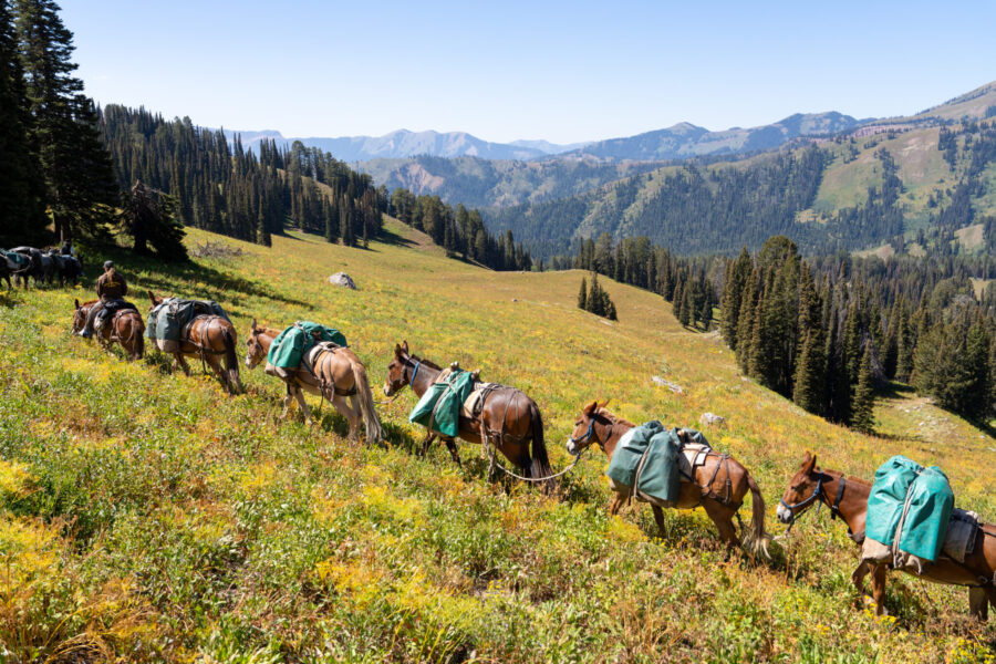 The Grand Tetons Ride, Wyoming, USA - Globetrotting horse riding holidays