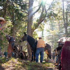 The Grand Tetons Ride, Wyoming, USA - Globetrotting horse riding holidays