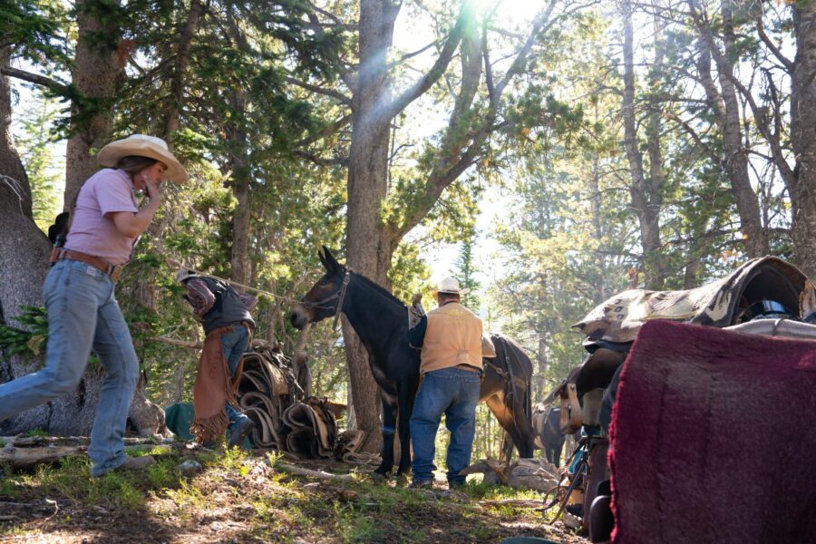 The Grand Tetons Ride, Wyoming, USA - Globetrotting horse riding holidays