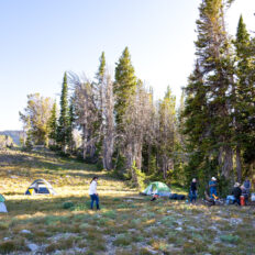 The Grand Tetons Ride, Wyoming, USA - Globetrotting horse riding holidays