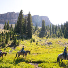The Grand Tetons Ride, Wyoming, USA - Globetrotting horse riding holidays