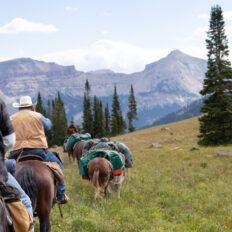 The Grand Tetons Ride, Wyoming, USA - Globetrotting horse riding holidays