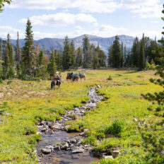 The Grand Tetons Ride, Wyoming, USA - Globetrotting horse riding holidays