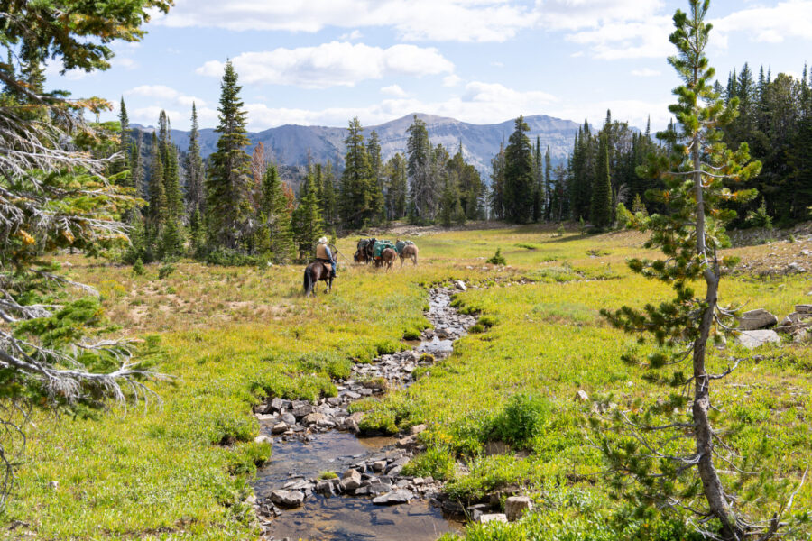 The Grand Tetons Ride, Wyoming, USA - Globetrotting horse riding holidays