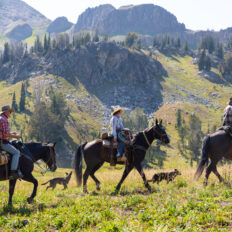 The Grand Tetons Ride, Wyoming, USA - Globetrotting horse riding holidays