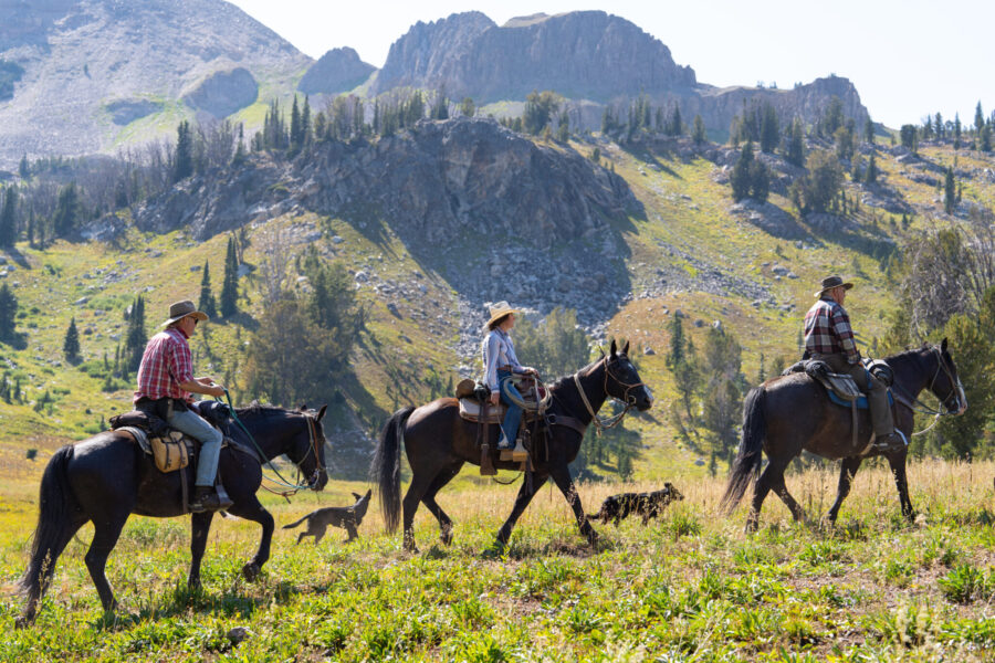 The Grand Tetons Ride, Wyoming, USA - Globetrotting horse riding holidays