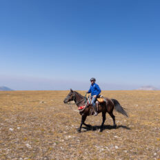 The Grand Tetons Ride, Wyoming, USA - Globetrotting horse riding holidays