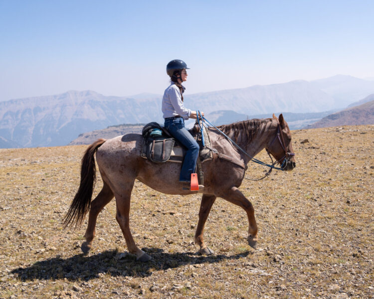 The Grand Tetons Ride, Wyoming, USA - Globetrotting horse riding holidays